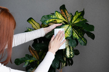 Similar image 21721983