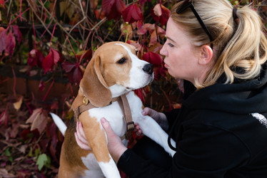 Similar image 21743796