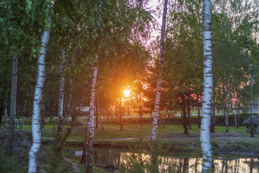 Similar image 21721989