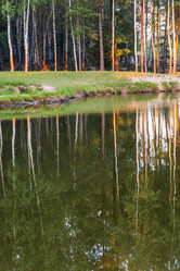 Similar image 21721994