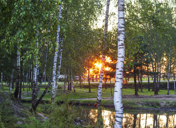 Similar image 21721995