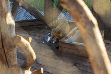 Similar image 21721996