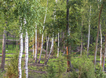 Similar image 21721998