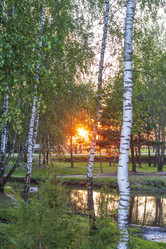 Similar image 21721999