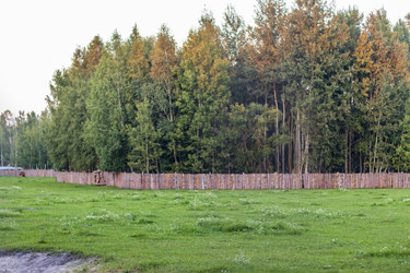 Similar image 21722002