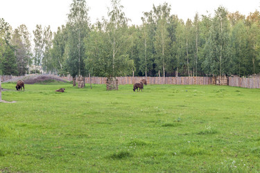 Similar image 21722003