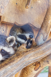 Similar image 21722006