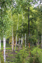 Similar image 21722008