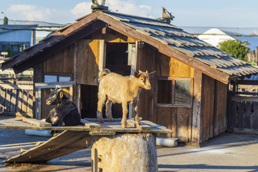 Similar image 21722012