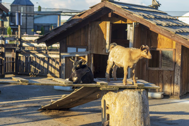 Similar image 21722014