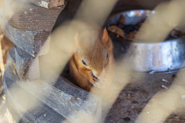 Similar image 21722016