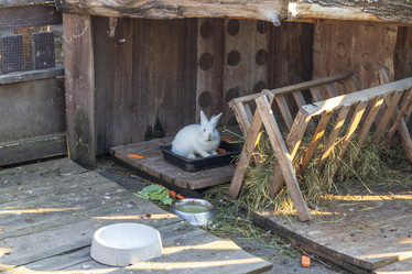 Similar image 21722018