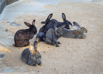 Similar image 21722024