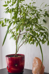 Similar image 21722619