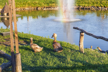 Similar image 21722620