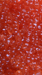 Similar image 21722641