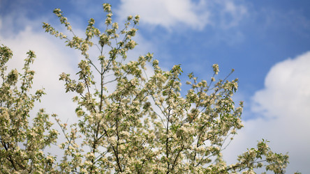 Similar image 21722643