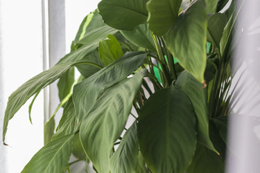 Similar image 21722931