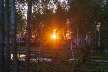 Similar image 21722934