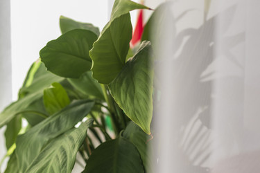 Similar image 21722942