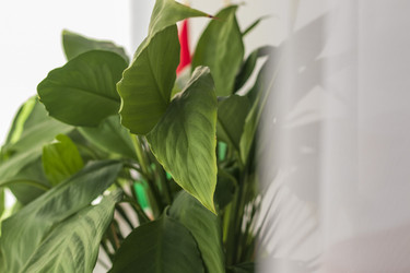 Similar image 21722943