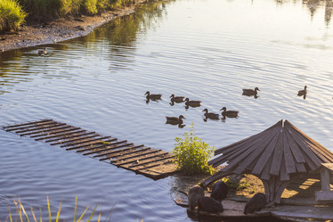 Similar image 21722944