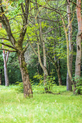 Similar image 21722953