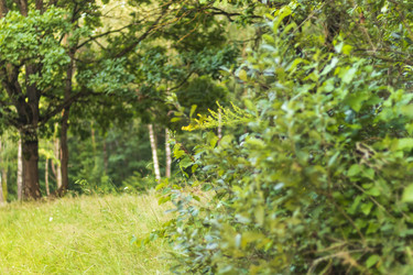 Similar image 21722957