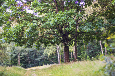 Similar image 21722959