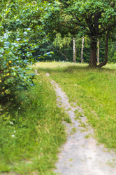 Similar image 21722963