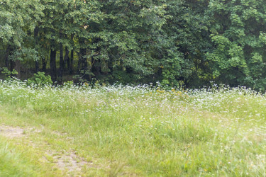 Similar image 21722969