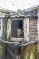 Similar image 21722970