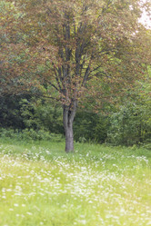 Similar image 21722974