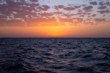 Similar image 21722038