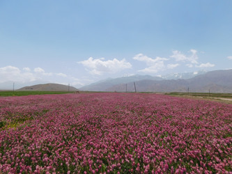 Similar image 21722045