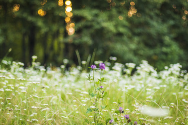 Similar image 21723349