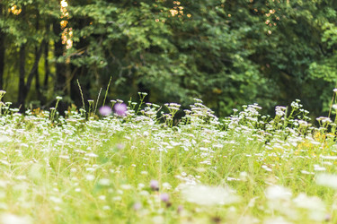 Similar image 21723351