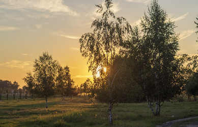 Similar image 21723353