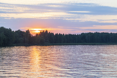 Similar image 21723354