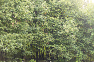 Similar image 21723356