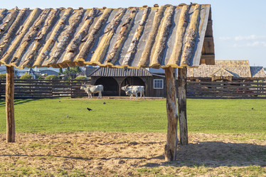 Similar image 21723372