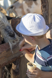 Similar image 21723374