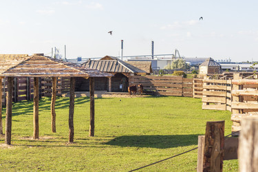 Similar image 21723538