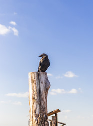 Similar image 21723539