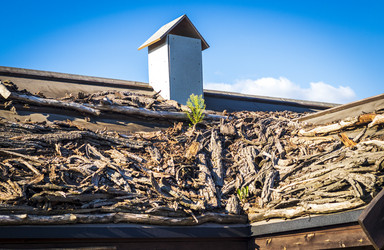 Similar image 21723540