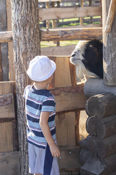 Similar image 21723541