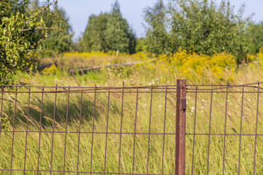 Similar image 21723542