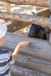 Similar image 21723543