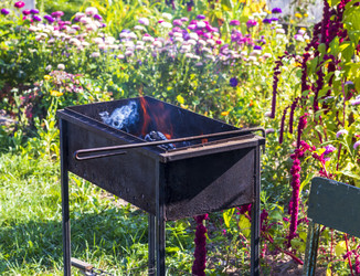 Similar image 21723545