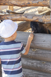 Similar image 21723546